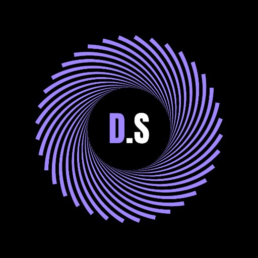 Digital Steffin Logo